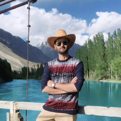 Profile picture of hassanchaudhry