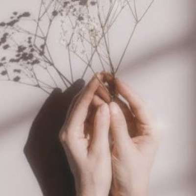 Profile picture of samanrashid010